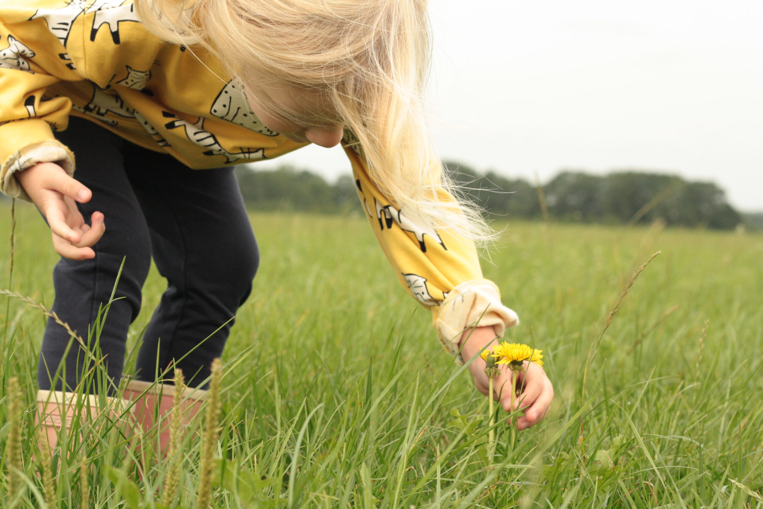 (c) Boerderijkamers.nl